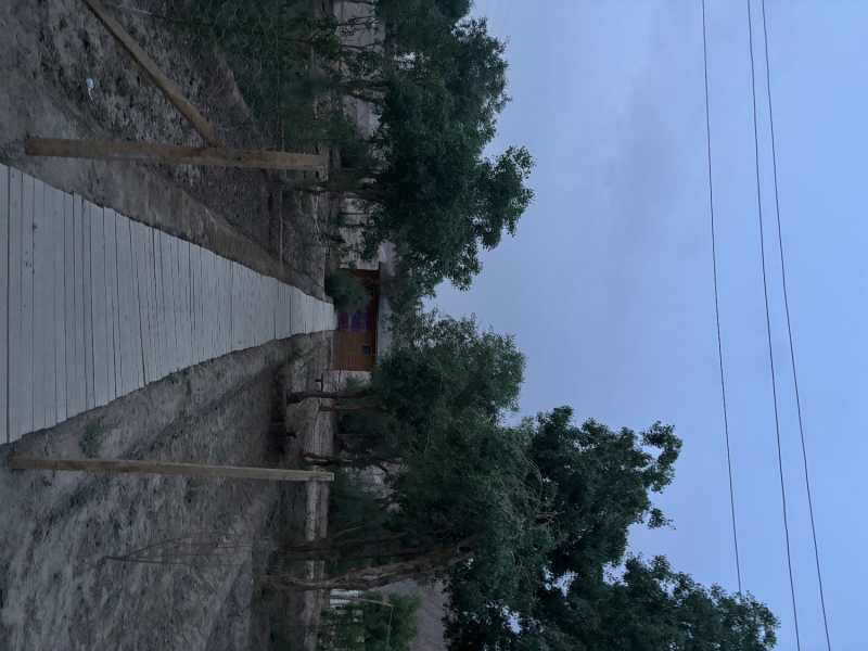 IMG_3478.jpeg