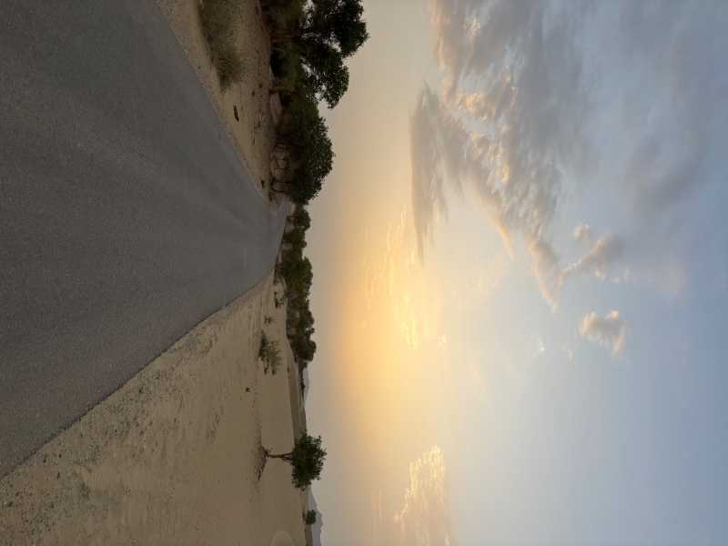 IMG_5779.jpeg
