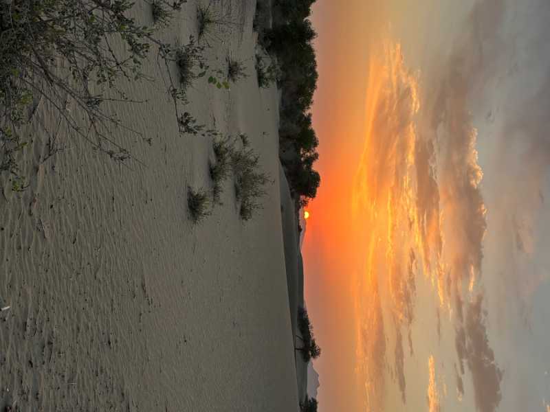 IMG_5959.jpeg