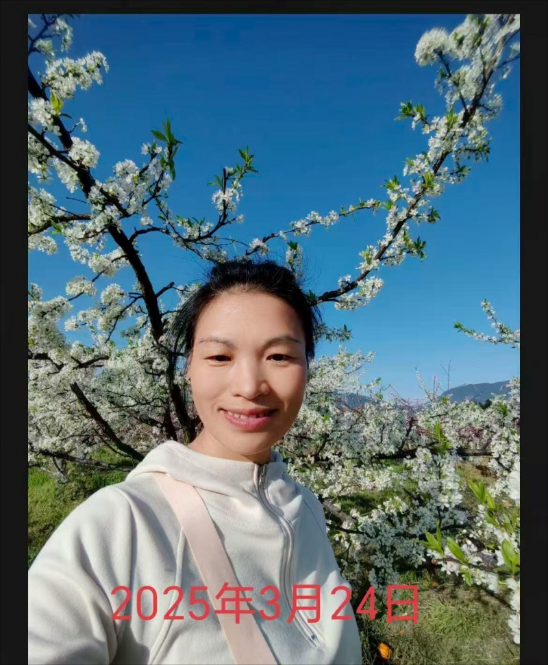 529.png