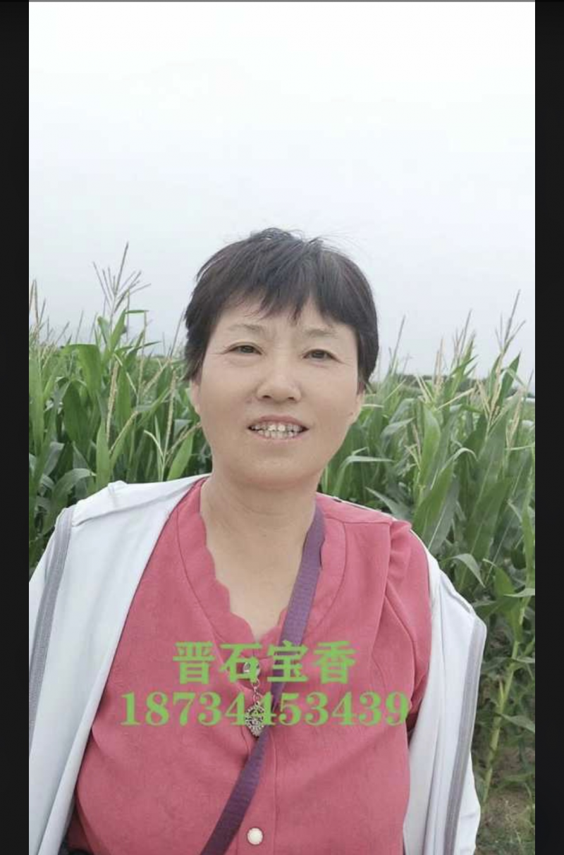 ͼƬ2.png