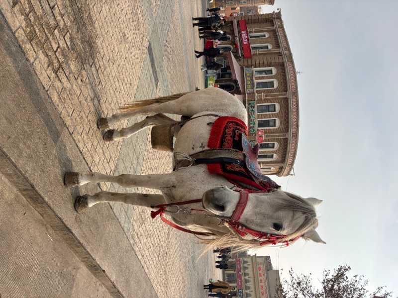 IMG_0534.jpeg